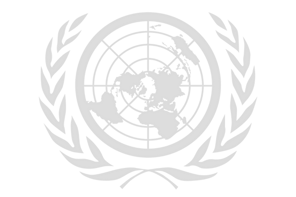 United Nations (ONU) Logo